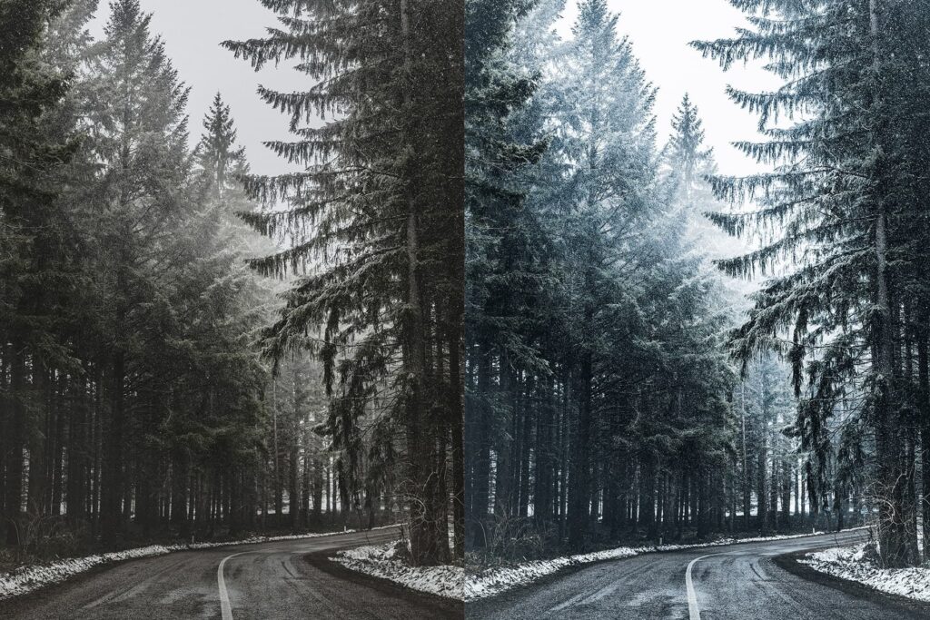 forest with winter lightroom preset from anagram design