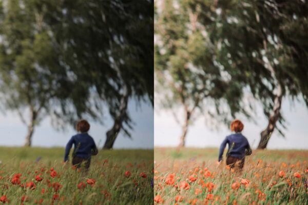 kid in a flower field with Spring Lightroom preset
