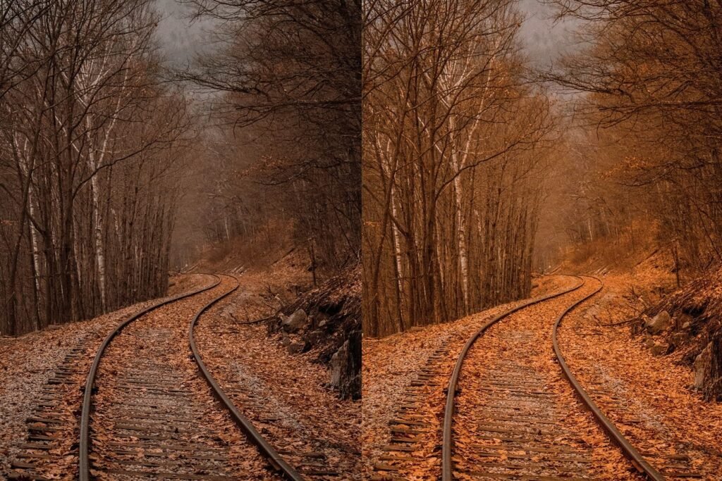Autumn – Image 4