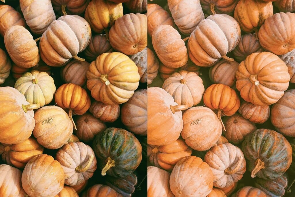 Autumn – Image 6