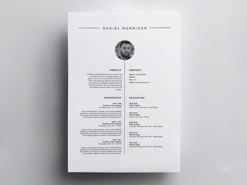 Free CV template