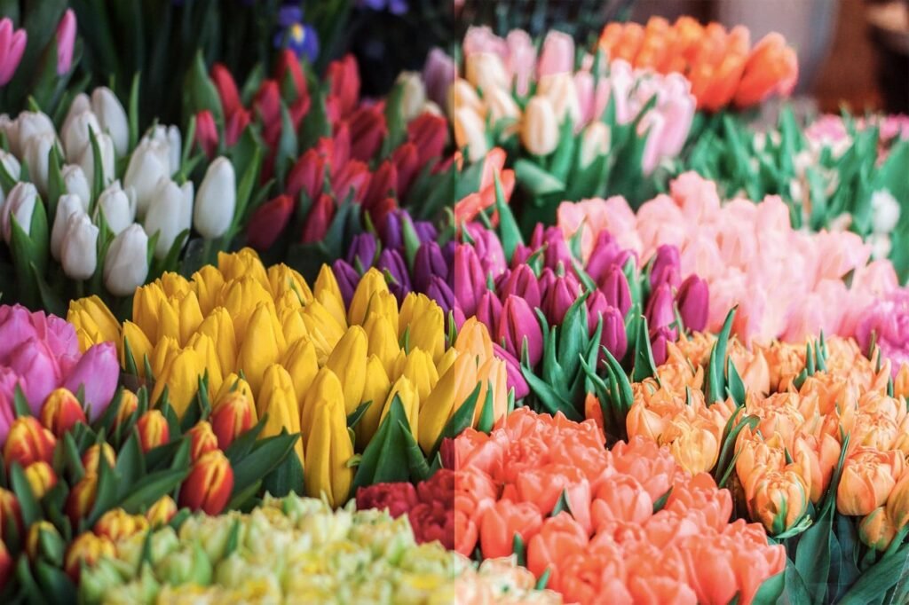 flowers with Spring Lightroom preset
