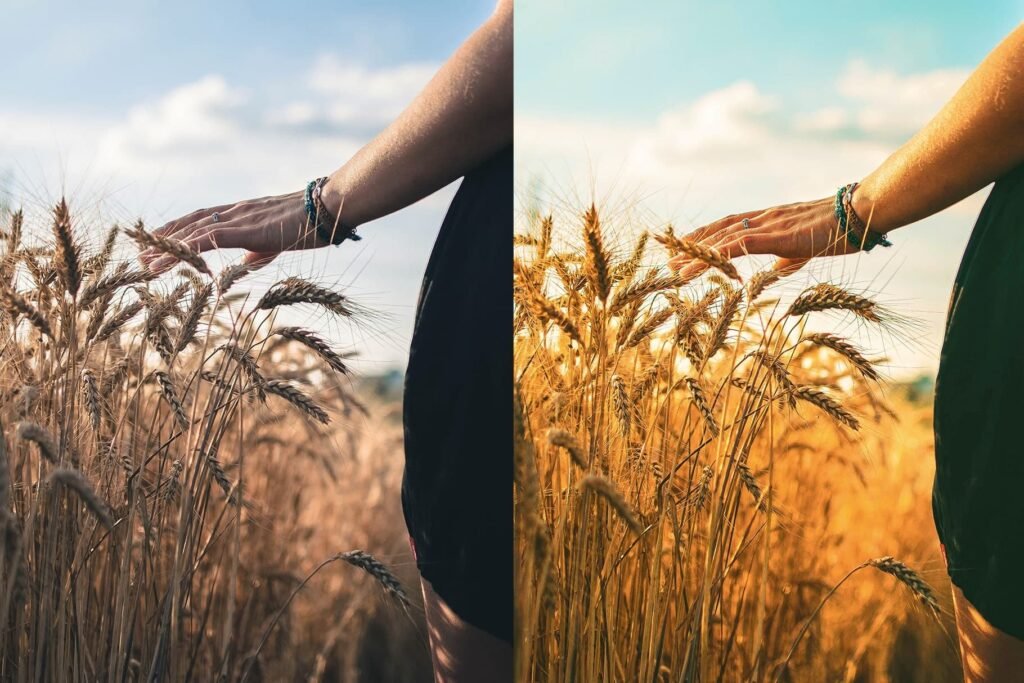 field with a summer lightroom preset