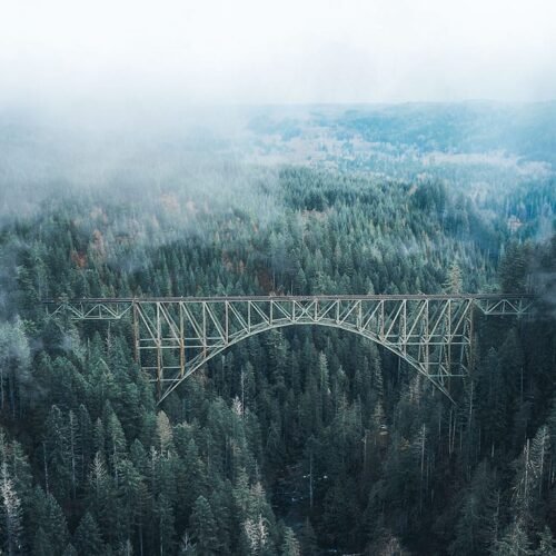 Bridge in a mysterious forest
