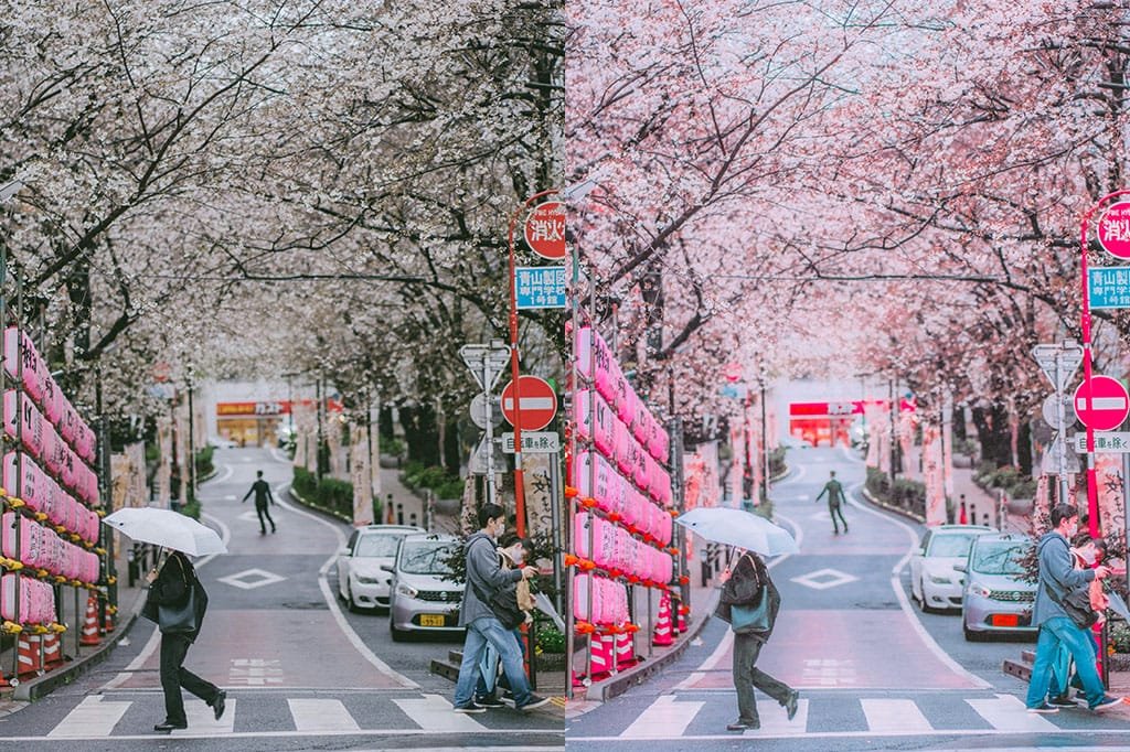 Shibuya street with sakura with a filter