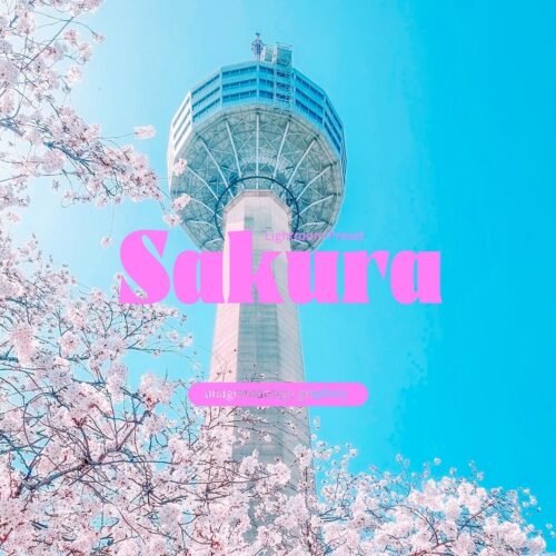 Sakura tree and tower with a sakura filter applied
