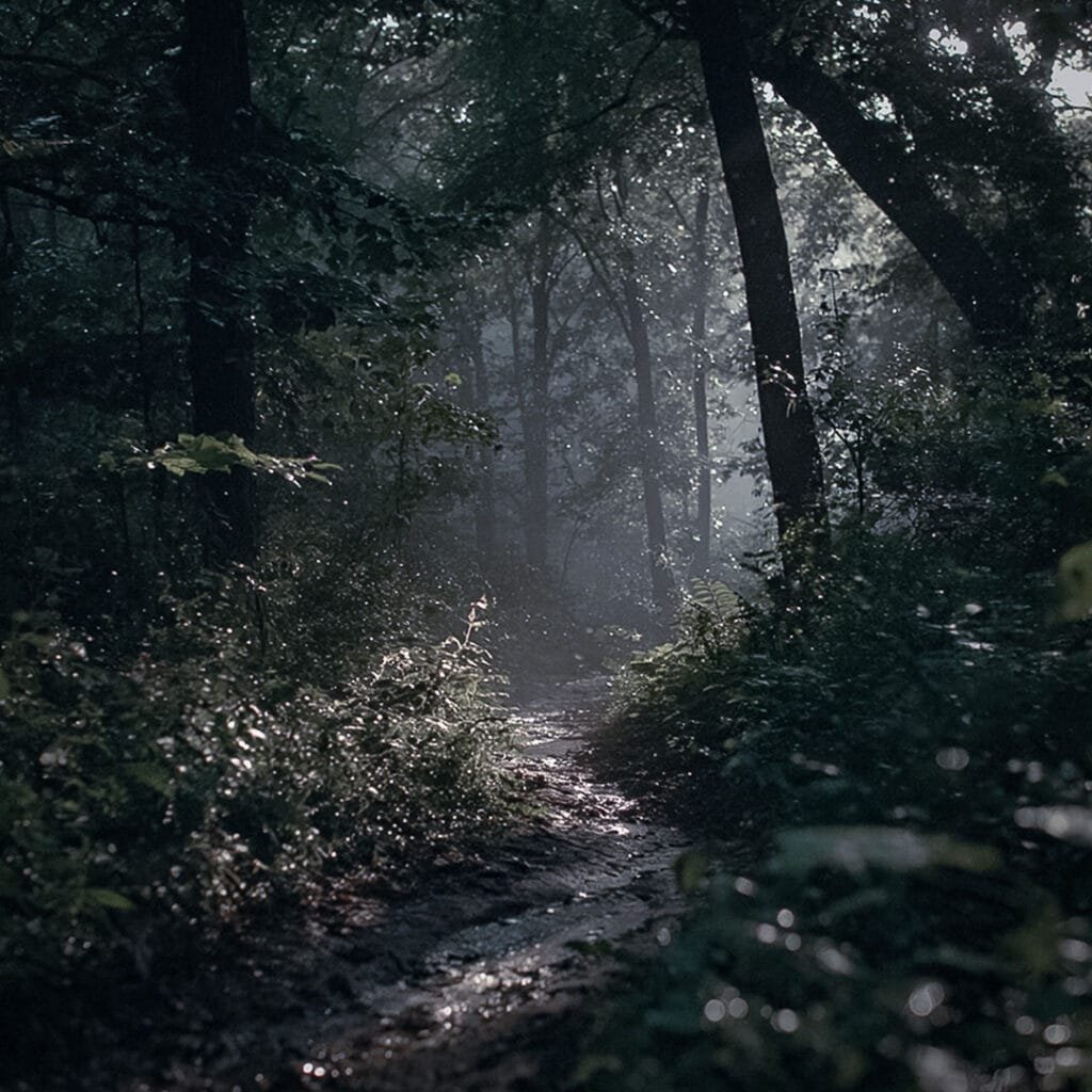 Wednesday - Image 4